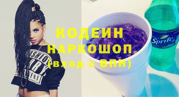хмурый Абаза