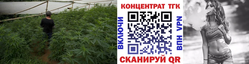 даркнет сайт  Тейково  ТГК концентрат 