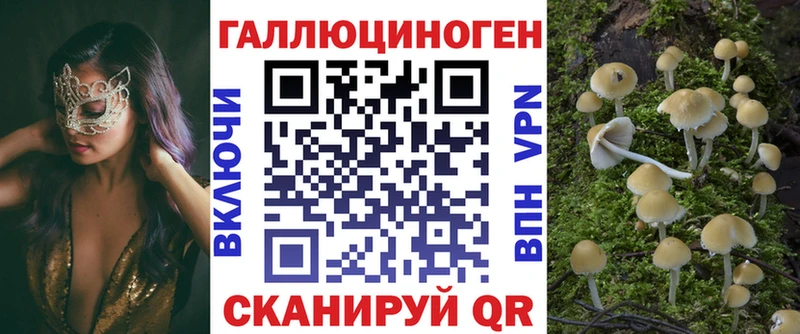 Псилоцибиновые грибы Psilocybe  Тейково 